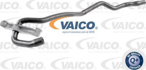VAICO V10-4679 - Шланг радиатора autosila-amz.com