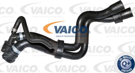 VAICO V10-4053 - Шланг радиатора autosila-amz.com