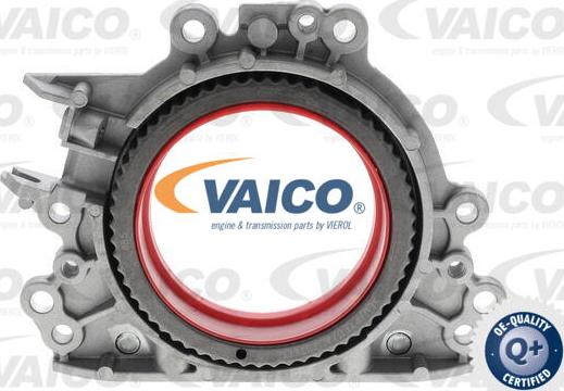VAICO V10-4859 - Уплотняющее кольцо, коленчатый вал autosila-amz.com