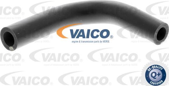VAICO V10-4851 - Шланг, вентиляция картера autosila-amz.com