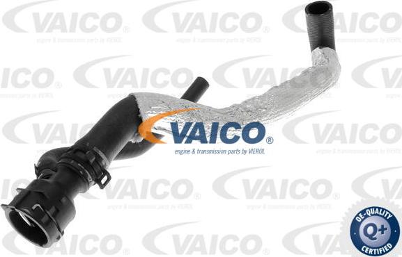 VAICO V10-4863 - Шланг радиатора autosila-amz.com