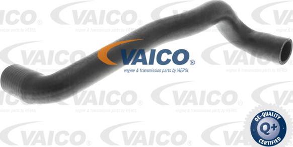 VAICO V10-4810 - Шланг радиатора autosila-amz.com