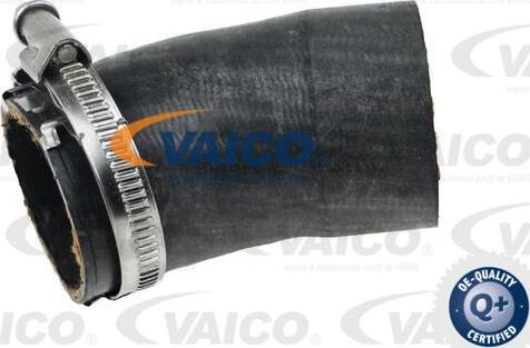 VAICO V10-4382 - Трубка, нагнетание воздуха autosila-amz.com