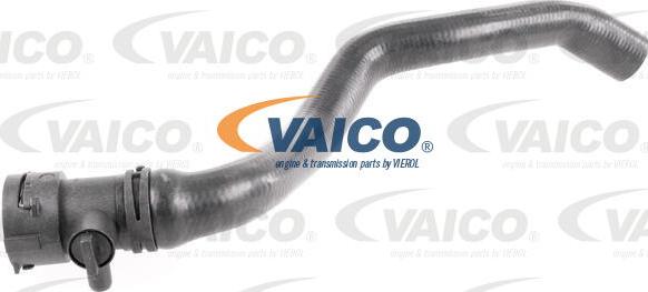 VAICO V10-4268 - Шланг радиатора autosila-amz.com