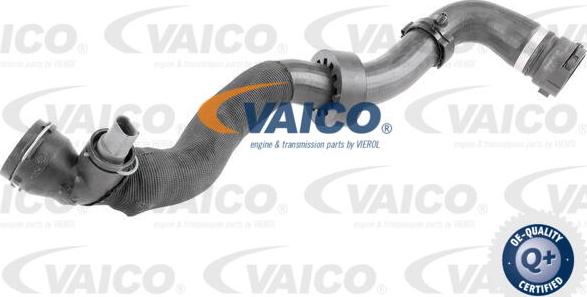 VAICO V10-4767 - Шланг радиатора autosila-amz.com