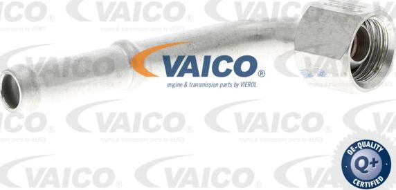 VAICO V10-4781 - Трубка охлаждающей жидкости autosila-amz.com