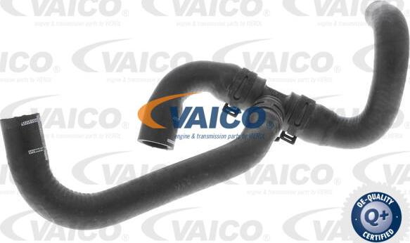 VAICO V10-4777 - Шланг радиатора autosila-amz.com