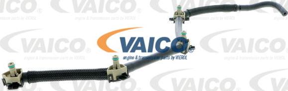 VAICO V10-5495 - Шланг, утечка топлива autosila-amz.com