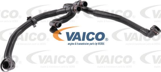VAICO V10-5458 - Шланг, вентиляция картера autosila-amz.com
