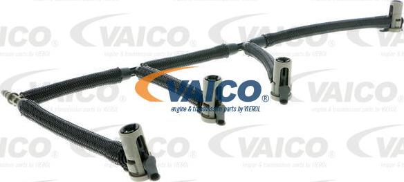 VAICO V10-5504 - Шланг, утечка топлива autosila-amz.com