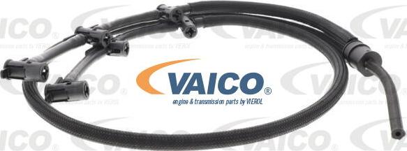 VAICO V10-5507 - Шланг, утечка топлива autosila-amz.com