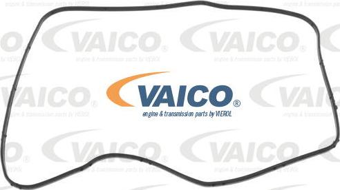 VAICO V10-6967 - Прокладка, автоматическая коробка autosila-amz.com