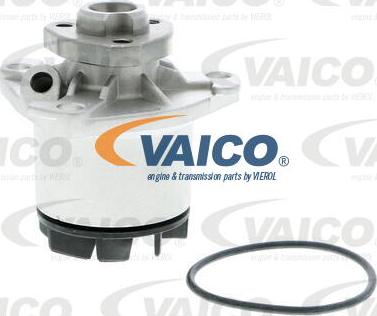 VAICO V10-50040 - Водяной насос autosila-amz.com