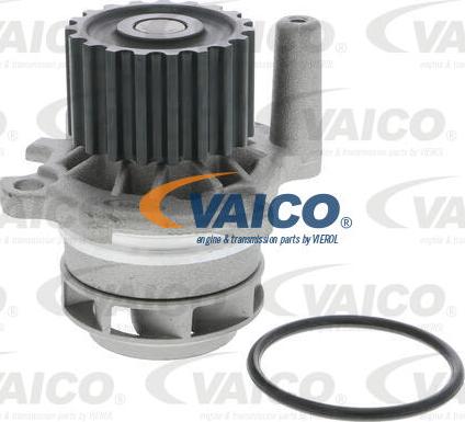 VAICO V10-50110-BEK - Водяной насос + комплект зубчатого ремня autosila-amz.com