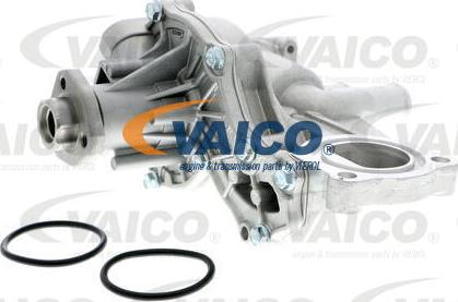 VAICO V10-50013 - Водяной насос autosila-amz.com