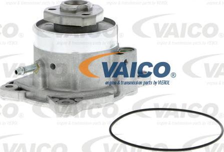 VAICO V10-50081 - Водяной насос autosila-amz.com