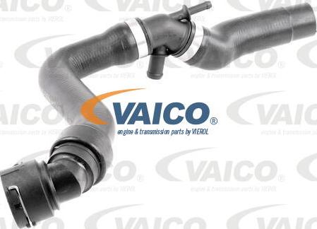 VAICO V10-5156 - Шланг радиатора autosila-amz.com