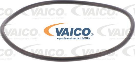 VAICO V10-5394 - Гидравлический фильтр коробки передач AUDI A4 ALLROAD B9, A4 B9, A5, A6 C7, A6 C8, A7, Q5 1.4-4.0H 1 autosila-amz.com