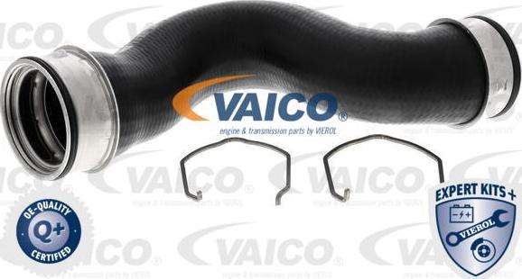 VAICO V10-5304 - Трубка, нагнетание воздуха autosila-amz.com