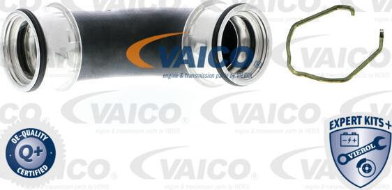 VAICO V10-5305 - Трубка, нагнетание воздуха autosila-amz.com