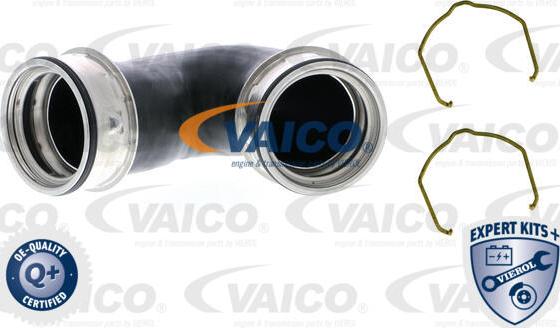 VAICO V10-5300 - Трубка, нагнетание воздуха autosila-amz.com