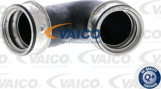 VAICO V10-5300 - Трубка, нагнетание воздуха autosila-amz.com