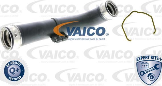 VAICO V10-5303 - Трубка, нагнетание воздуха autosila-amz.com