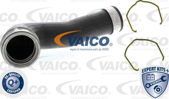 VAICO V10-5302 - Трубка, нагнетание воздуха autosila-amz.com