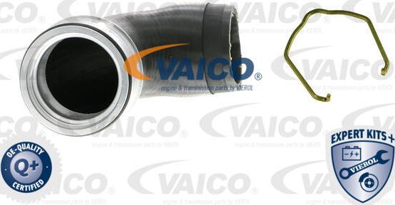 VAICO V10-5307 - Трубка, нагнетание воздуха autosila-amz.com
