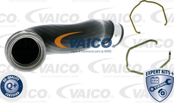 VAICO V10-5299 - Трубка, нагнетание воздуха autosila-amz.com