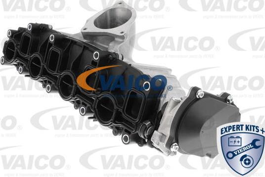 VAICO V10-5268 - Модуль впускной трубы autosila-amz.com