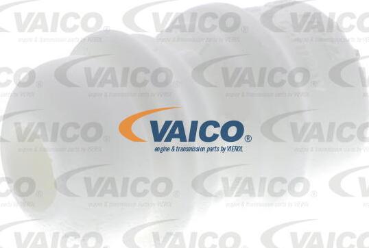 VAICO V10-6420 - Отбойник, демпфер амортизатора autosila-amz.com