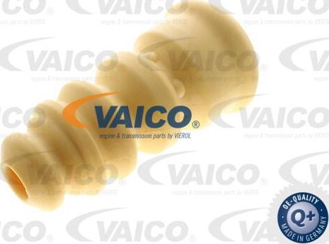 VAICO V10-6032 - Отбойник, демпфер амортизатора autosila-amz.com