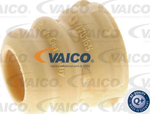 VAICO V10-6029 - Отбойник, демпфер амортизатора autosila-amz.com