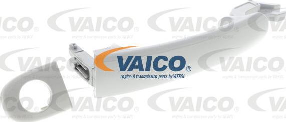VAICO V10-6161 - Ручка двери autosila-amz.com