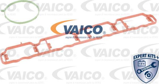 VAICO V10-6770 - Intake manifold fits: AUDI A4 ALLROAD B8, A4 B8, A5, A6 C7 SEAT EXEO, EXEO ST 2.0 06.08-09.18 autosila-amz.com