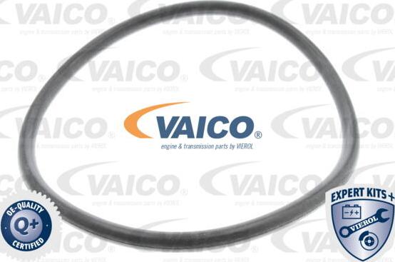 VAICO V10-0440-1 - Автозапчасть autosila-amz.com