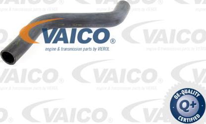 VAICO V10-0060 - Шланг радиатора autosila-amz.com