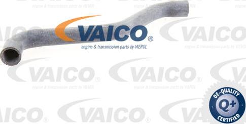 VAICO V10-0074 - Шланг радиатора autosila-amz.com