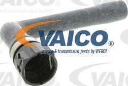 VAICO V10-0895 - Шланг радиатора autosila-amz.com