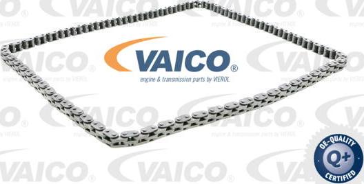 VAICO V10-10010 - Комплект цели привода распредвала autosila-amz.com