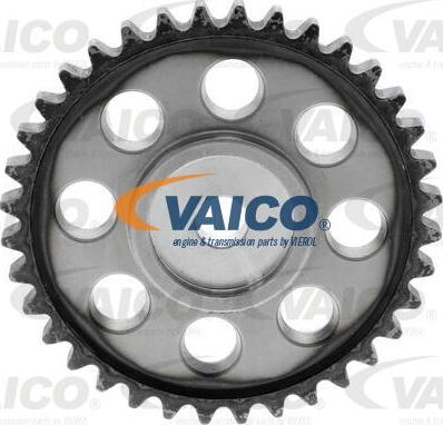 VAICO V10-10010 - Комплект цели привода распредвала autosila-amz.com