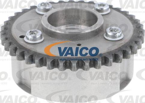 VAICO V10-10030-SP - Комплект цепи привода распредвала autosila-amz.com