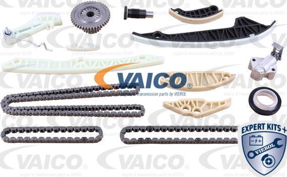 VAICO V10-10022 - Комплект цепи привода распредвала autosila-amz.com
