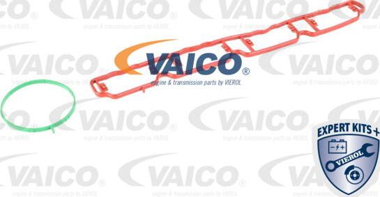 VAICO V10-3954 - Модуль впускной трубы autosila-amz.com