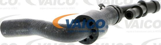 VAICO V10-3912 - Шланг радиатора autosila-amz.com