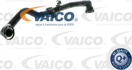 VAICO V10-3586 - Шланг, система подачи воздуха autosila-amz.com
