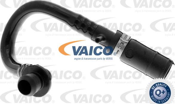 VAICO V10-3640 - Шланг разрежения, тормозная система autosila-amz.com