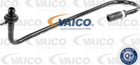 VAICO V10-3648 - Шланг разрежения, тормозная система autosila-amz.com