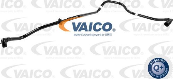 VAICO V10-3655 - Шланг разрежения, тормозная система autosila-amz.com